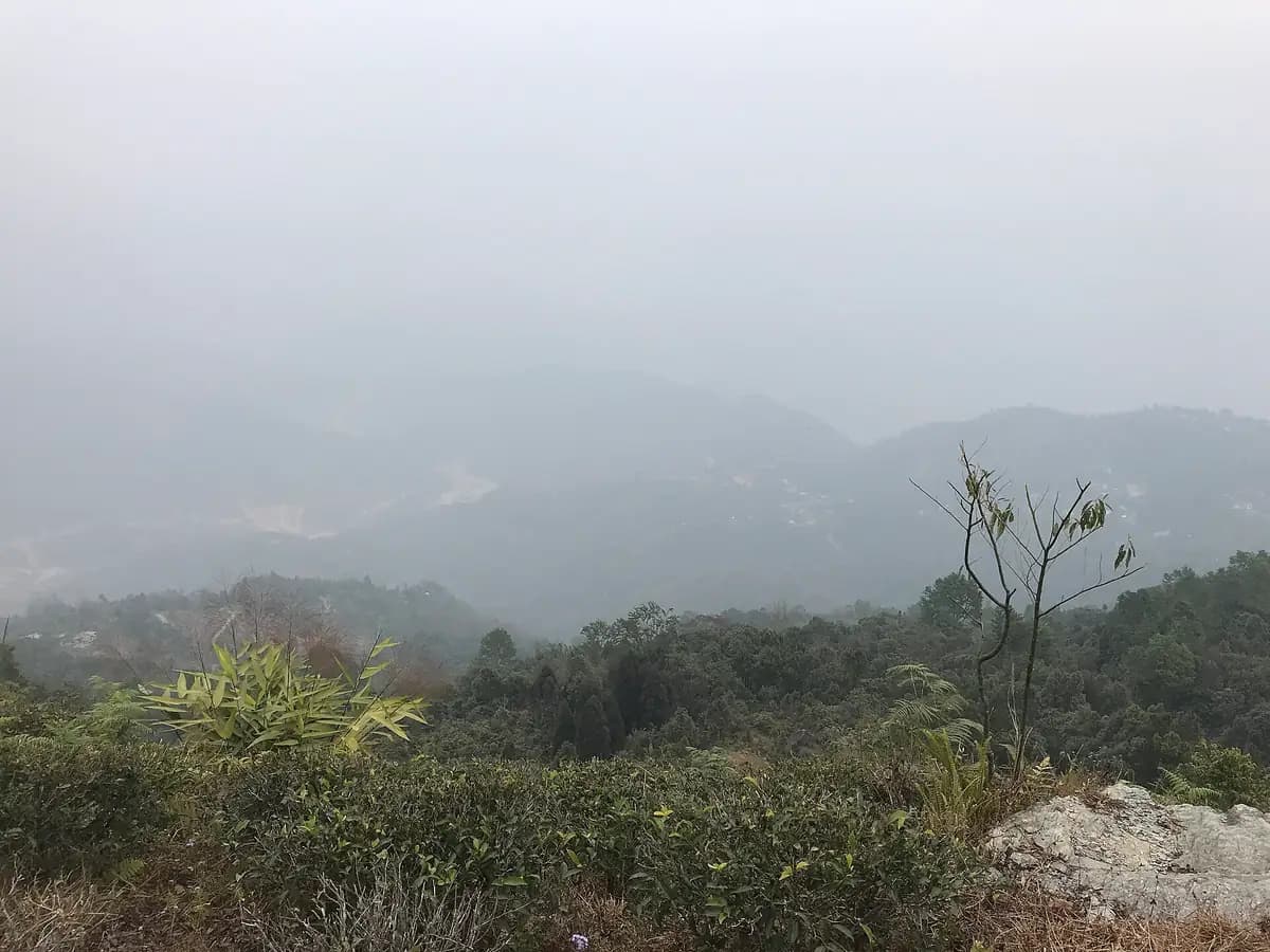 Morning mist over the forested hills around Sittong