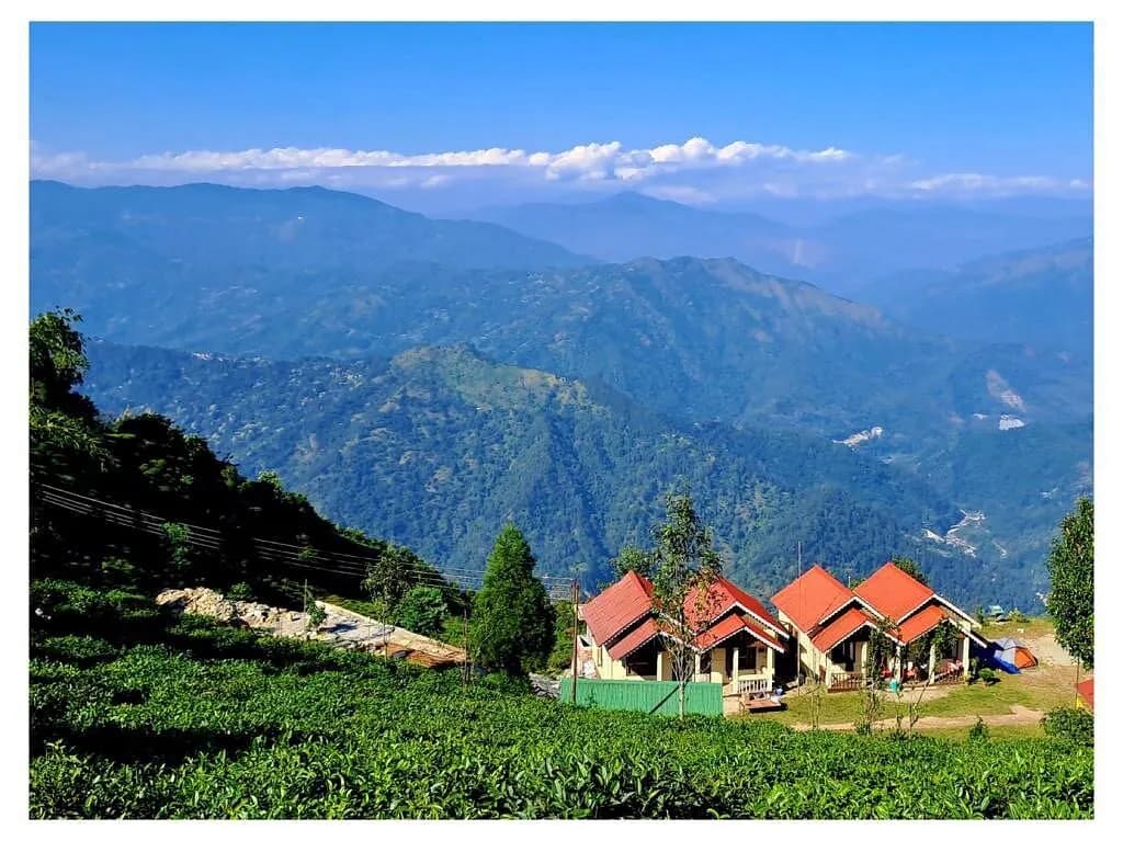 Sittong, Darjeeling